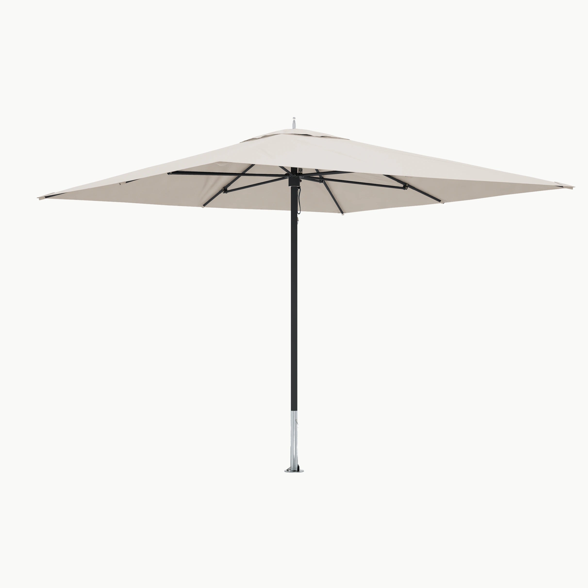 #Framekleur_Black Sea
Scallop