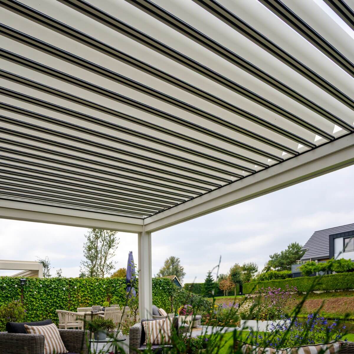 Cornels Alya Elite serie