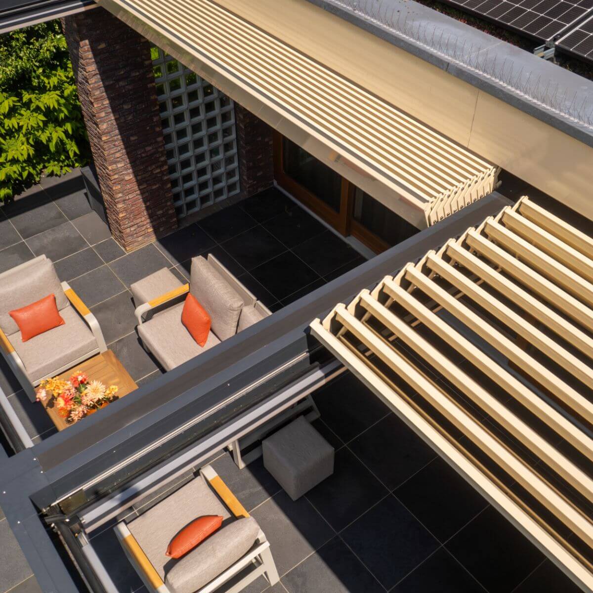 Cornels Pollux Elite serie