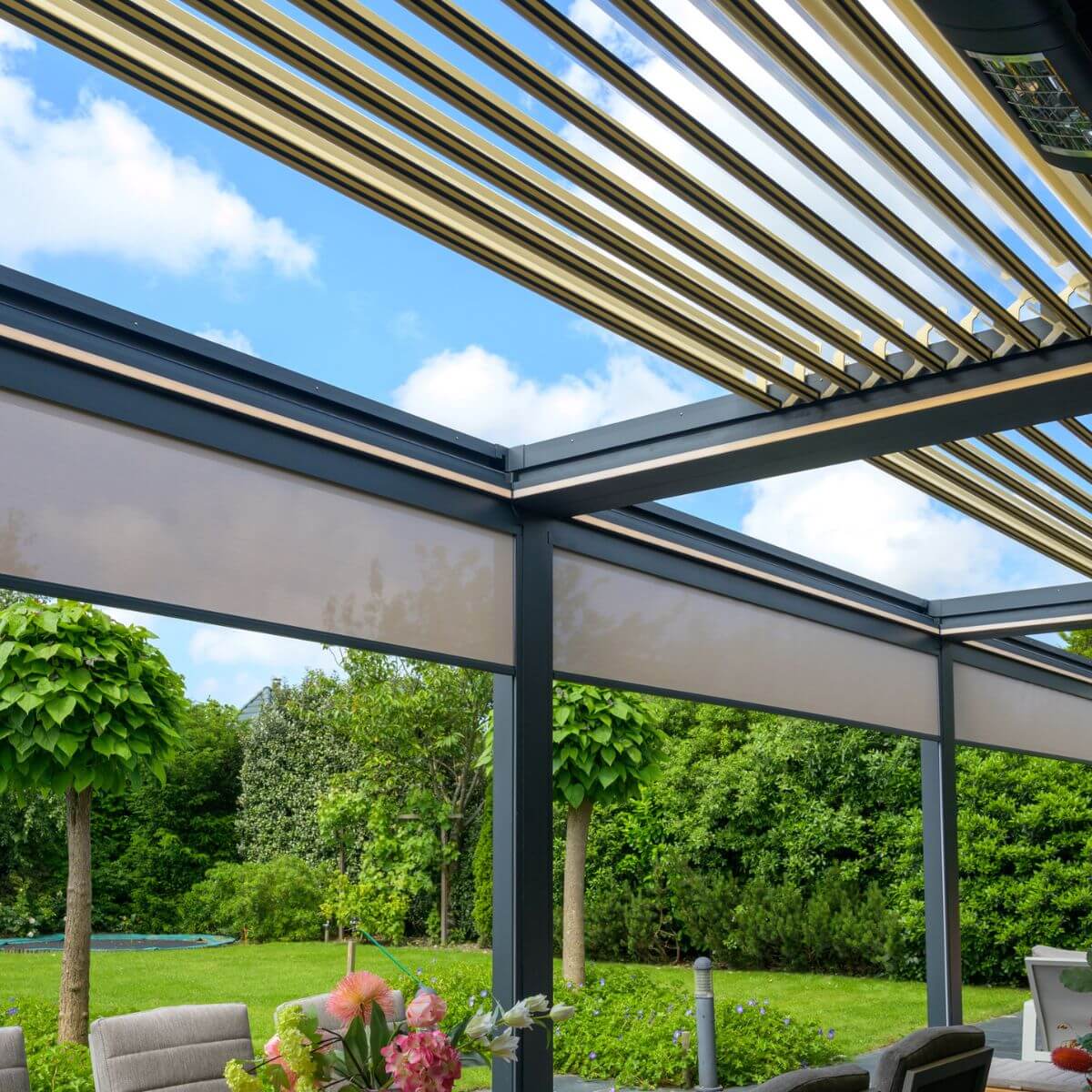 Cornels Pollux Elite serie