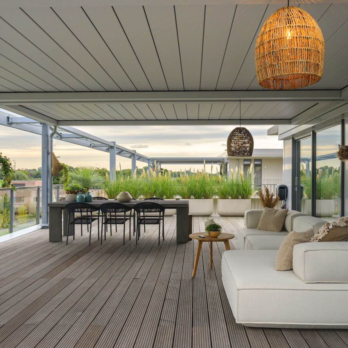Cornels Pollux Elite serie