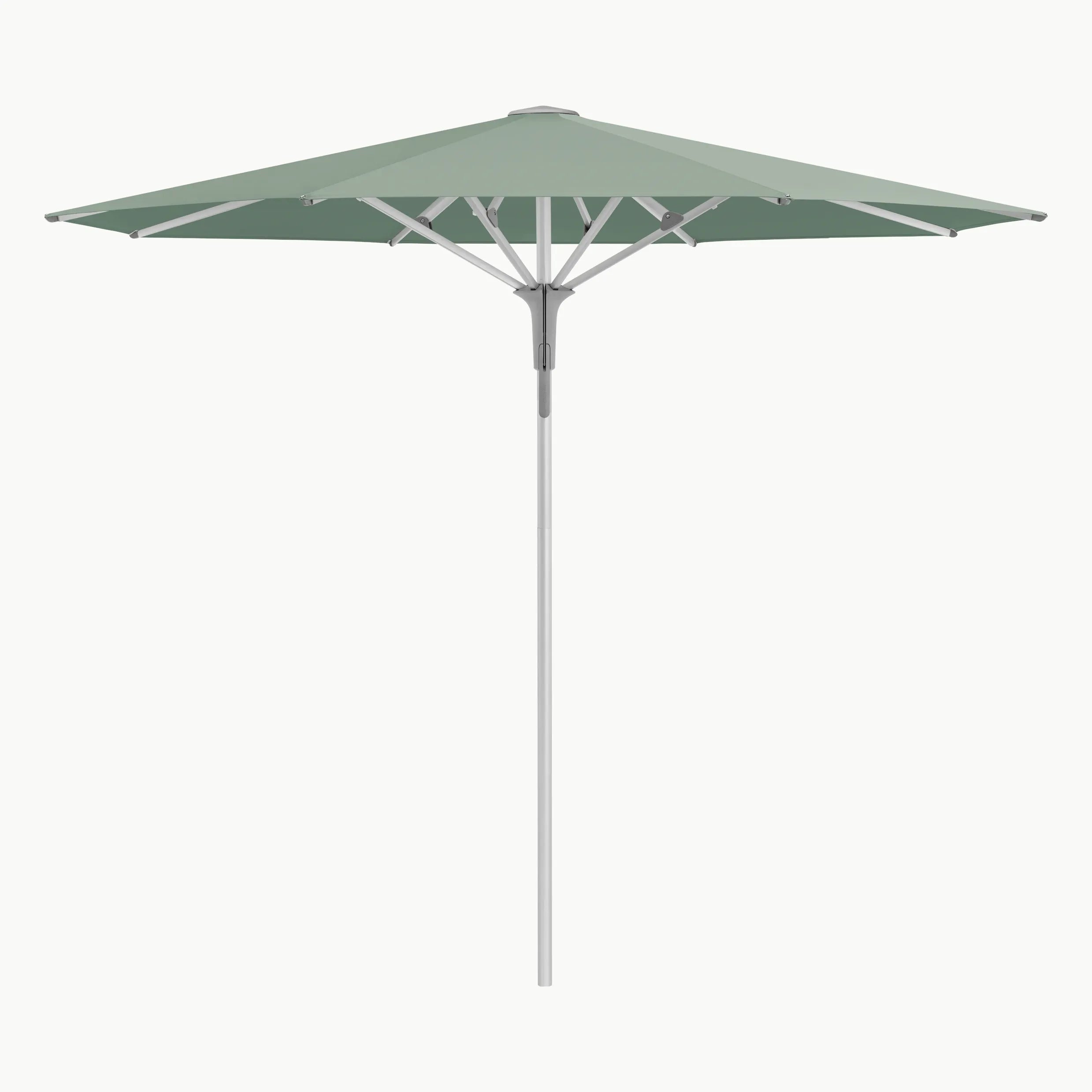 #stofkleur_Olive 588