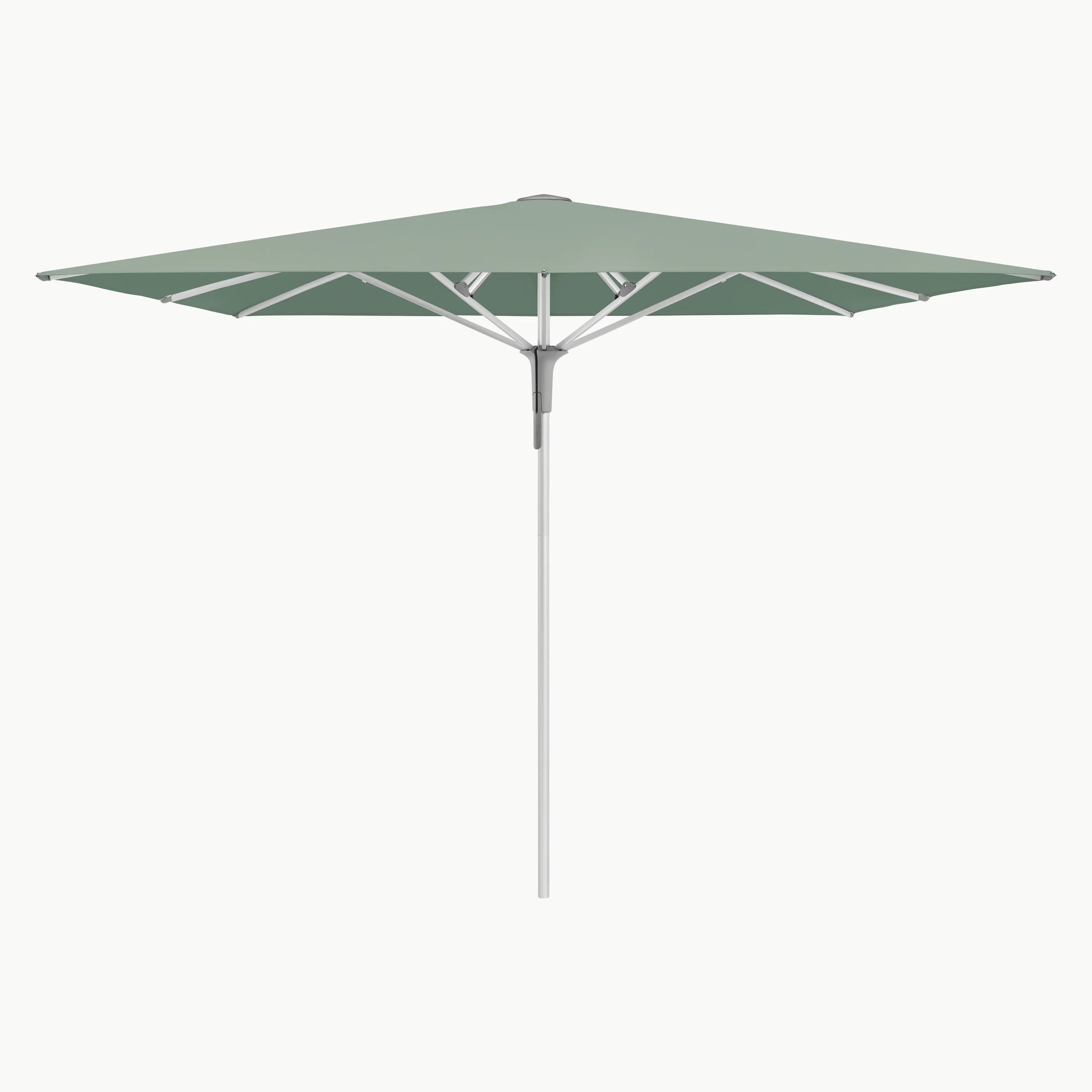 #stofkleur_Olive 588