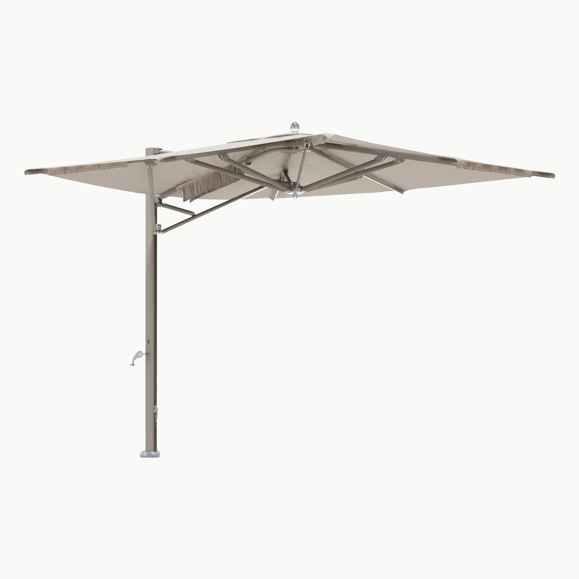 #Framekleur_Oyster
Scallop