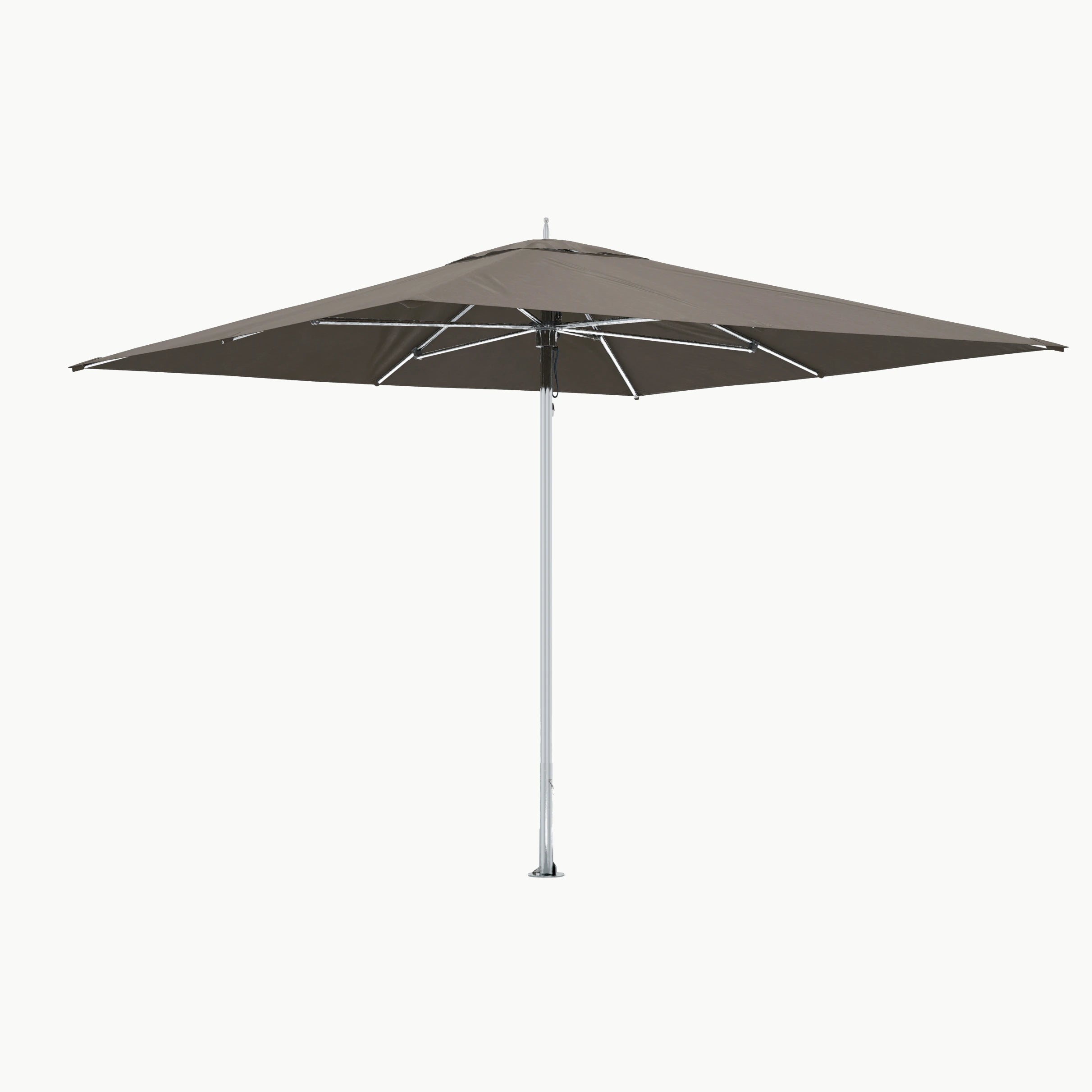 #Framekleur_Polished Titanium
Truffle